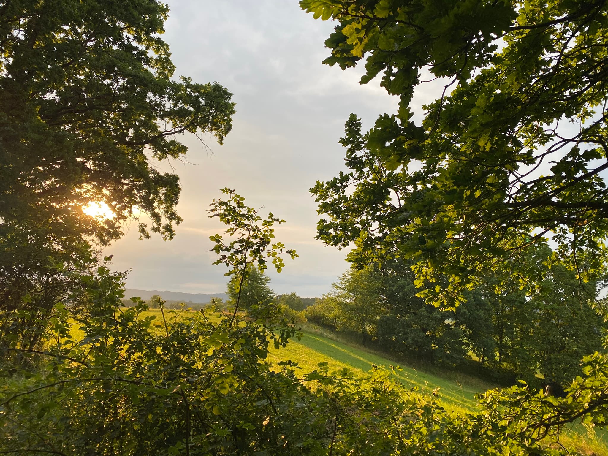 Večer nad loukami